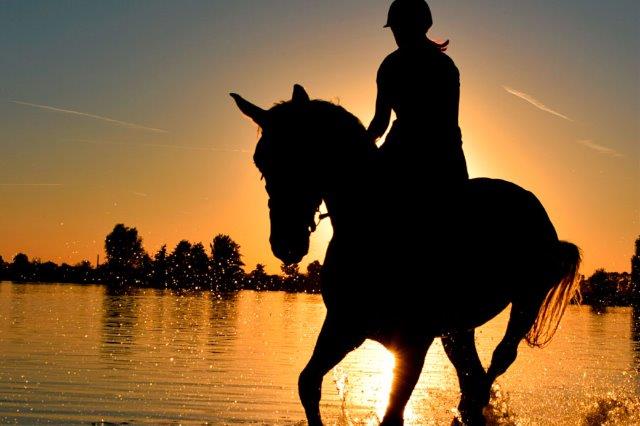 Ontspanning in Andalusië: Paardrijden
