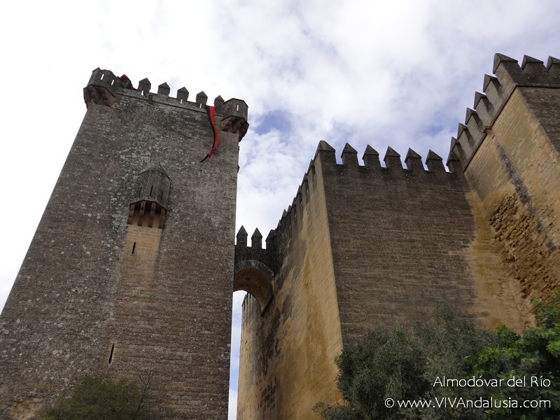 Alcaucin | Castillo De Zalia
