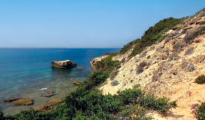 La Breña y Marismas de Barbate