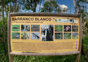 Barranco Blanco in Coin