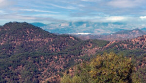 Montes de Málaga