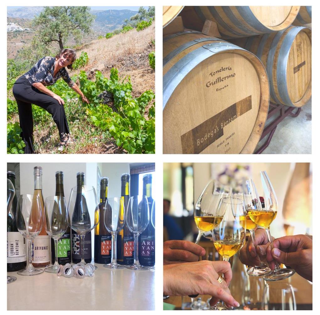 Ariyanas-wijnen triomferen op de Malaga wine awards 2023