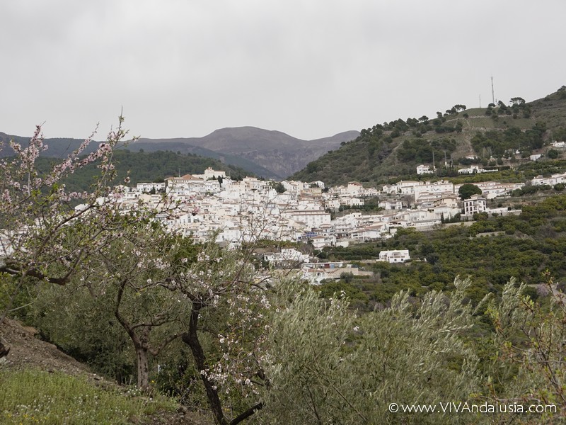 De Witte Dorpen van Andalusië: Een Uniek Erfgoed
